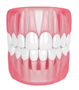 3d render of jaw with teeth over white Stock Illustration