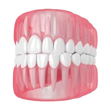 3d render of jaw with teeth over white Illustrazione stock