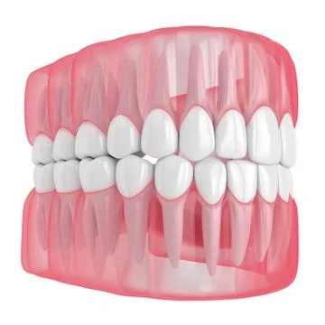 3d render of jaw with teeth over white Illustrazione stock
