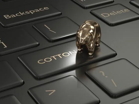 3d render of keyboard with cotton key and bear 库存照片