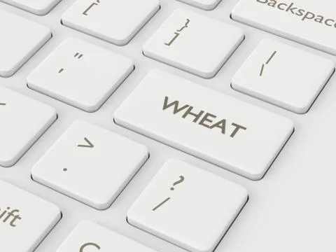 3d render of keyboard with wheat key Illustrazione stock