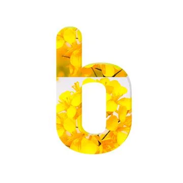 3D render of a letter B with a yellow flower decoration isolated on a white back Stock Illustration