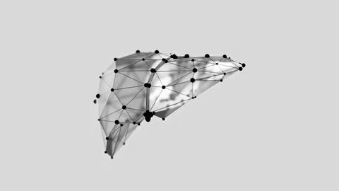 3d render of low-poly liver over white background Stock Illustration