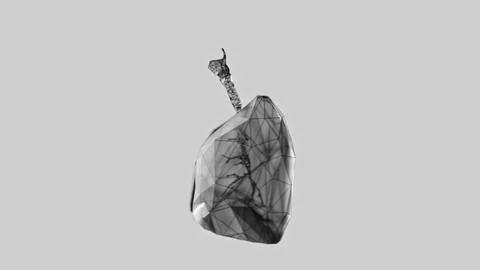 3d render of low-poly lungs over white background Stock-Illustration
