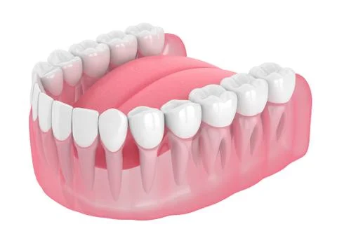 3d render of lower jaw with teeth Illustrazione stock