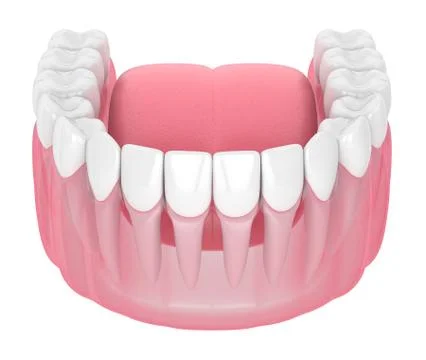3d render of lower jaw with teeth Illustrazione stock