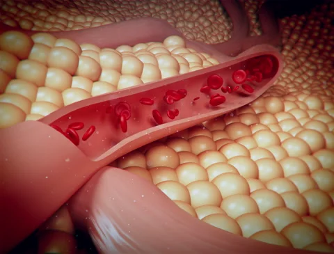 3D render macro photography of blood cells in blood vessels Видео 140643718