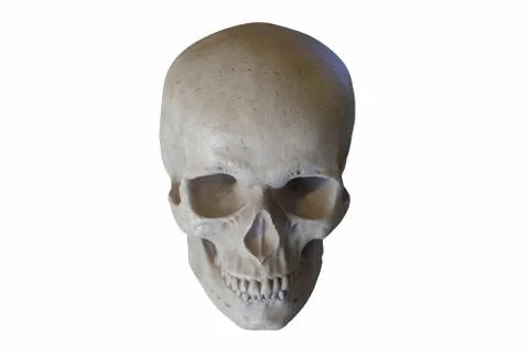 3D render of Marble sculpture of Human Skull isolated on white Stock Illustration
