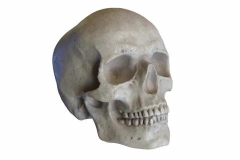3D render of Marble sculpture of Human Skull isolated on white Stock Illustration