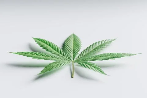 3d render of Marijuana leaf isolated on white Stock Illustration