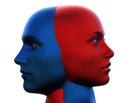 3d render. Merger of a male blue head and a red female head on a white Stock Illustration
