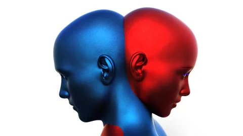 3d render. Merger of a male blue head and a red female head on a white Stock Illustration