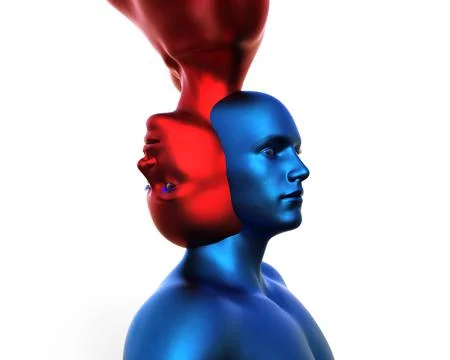 3d render. Merger of a male blue head and a red female head on a white Stock Illustration