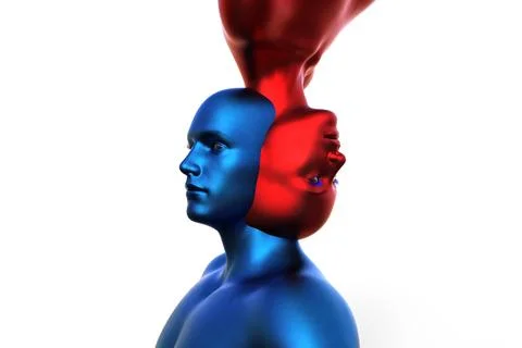 3d render. Merger of a male blue head and a red female head on a white Stock Illustration