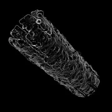 3d render microbe. Virus or gem 3d render background. Close-up of microscopic Stock Illustration