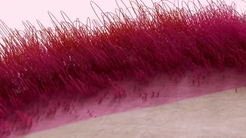 3D Render Microscopic Fibers Sprouting From Textured Tissue Surface Stock Footage 330478388