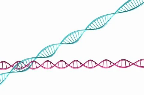 3d render ,model of twisted dna chain isolated. Stock Illustration