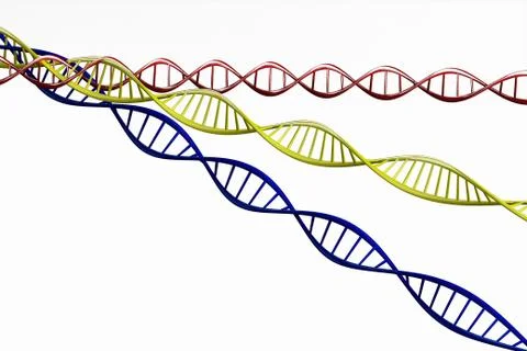 3d render ,Model of twisted DNA chain isolated. Stock Illustration