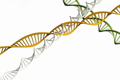 3d render ,Model of twisted DNA chain isolated. Stock Illustration