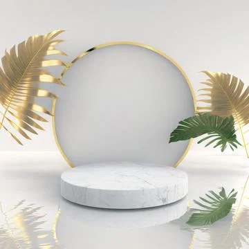 3d render, modern minimal white background with tropical leaf, rock podium, c Stock Illustration