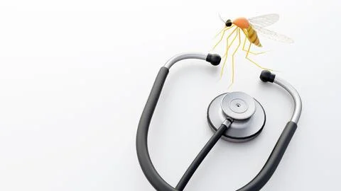 3d render of a mosquito and a stethoscope. 스톡 일러스트
