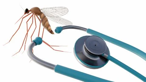3d render of a mosquito and a stethoscope. 스톡 일러스트