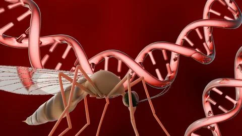 3d render of mosquitoes and a dna double helix. Stock Illustration