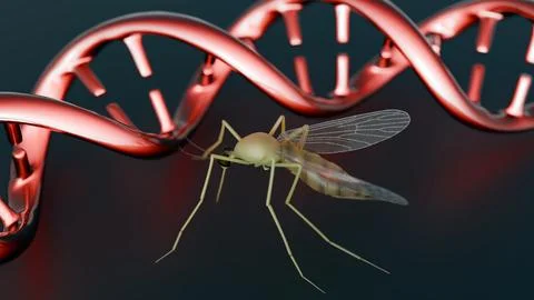 3d render of mosquitoes and a dna double helix. Stock Illustration
