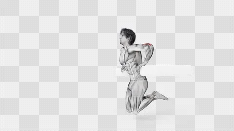 3d render of muscular character doing triceps workout Stock Footage 250856166