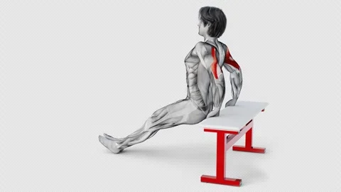 3d render of muscular character doing triceps workout on gym desk Stock Footage 250856322
