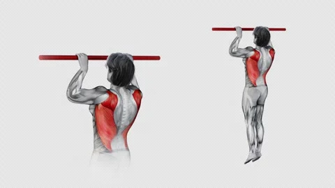 3d render of muscular character doing Lats Bodyweight Pull Ups workout on Stock Footage 251014577