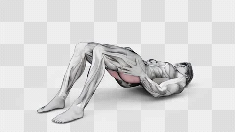 3d render of muscular character doing Bodyweight Glute Bridge on isolated white Stock Footage 251015209
