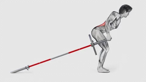 3d render of muscular character doing back workout with barbell bar and weight Stock Footage 251016272