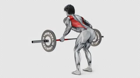 3d render of muscular character doing Deadlift exercise on isolated white Stock Footage 251016338
