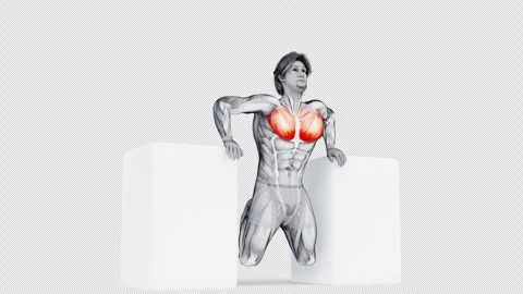 3d render of muscular character training for his chest muscle and highlighting Stock Footage 251013615