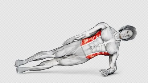 3d render of muscular character working out Obliques Side Plank Up Down on Stock Footage 251014185