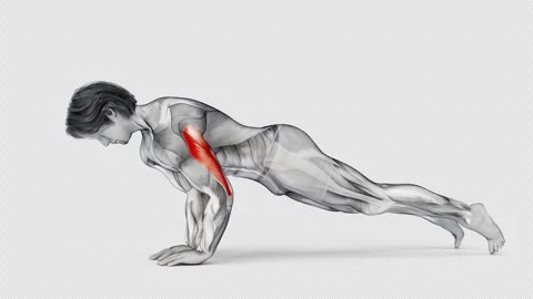 3d render of a muscular man doing push-ups on white isolated background Stock Footage 250856248
