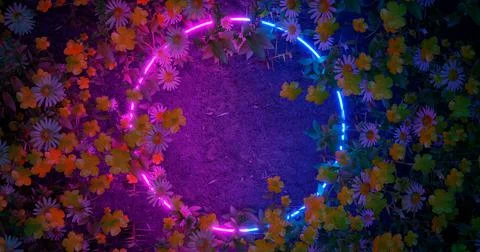3d render. Neon hoop or circle in the wildflowers. Nature in vibrant neon col Stock Illustration