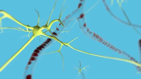 3D render of neurons firing electrical signals by Polymime www.polymime.com Stock Footage 75364610