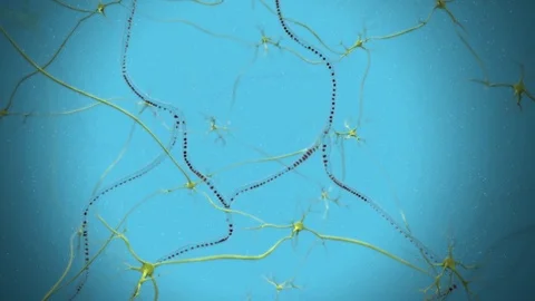 3D render of neurons firing by Polymime http://www.polymime.com Stock Footage 75405723