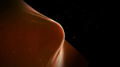3d render ovum release Stock Footage