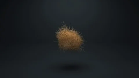 3D Render Particular Hair Motion Stock Footage 112867967