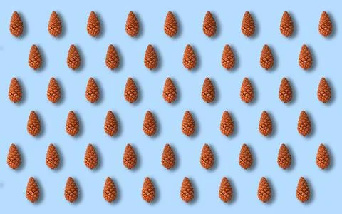3d render of pinecone background on isolated blue ground Stock Illustration
