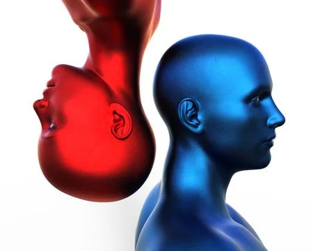 3d render. Portrait of a blue bald man upside down and a red bald woman on a Stock Illustration