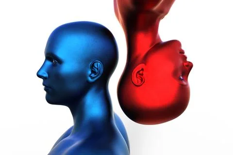3d render. Portrait of a blue bald man upside down and a red bald woman on a Stock Illustration