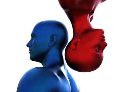 3d render. Portrait of a blue bald man upside down and a red bald woman on a Stock Illustration