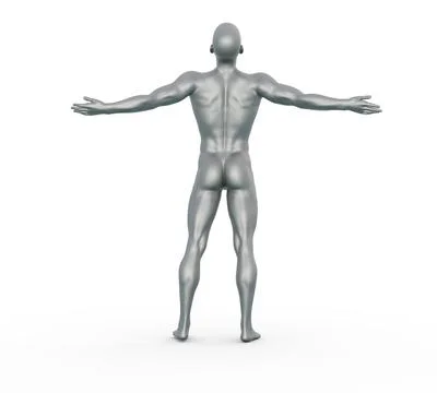 3D Render : Portrait of silver metal texture male character Stock Illustration