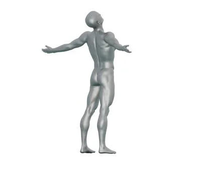3D Render : Portrait of silver metal texture male character Stock Illustration