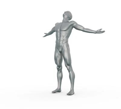3D Render : Portrait of silver metal texture male character Stock Illustration