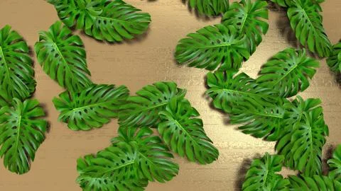 3D render of realistic monstera leaves on gold background for cosmetic ad or 스톡 일러스트